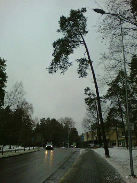 Приятный городок Друскининкай