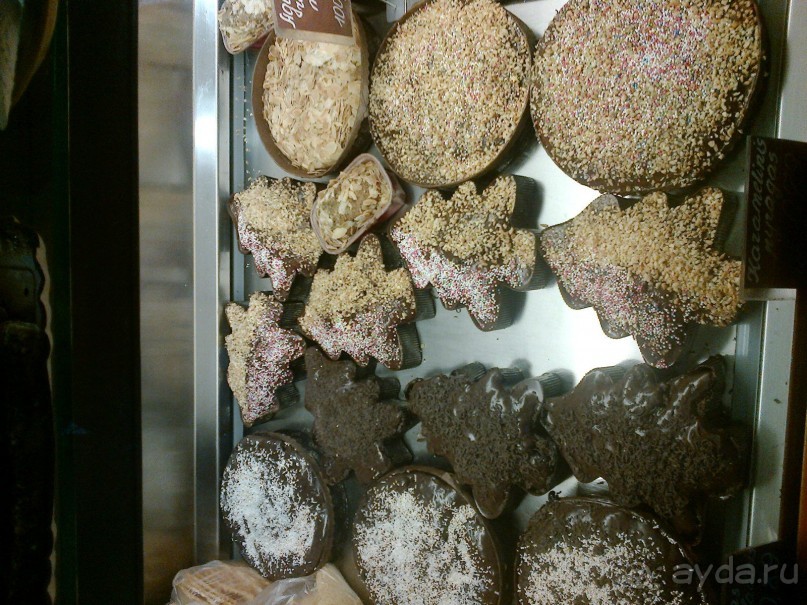 Приятный городок Друскининкай