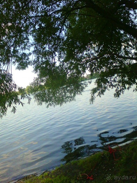 Белое озеро в поселке Косино МО