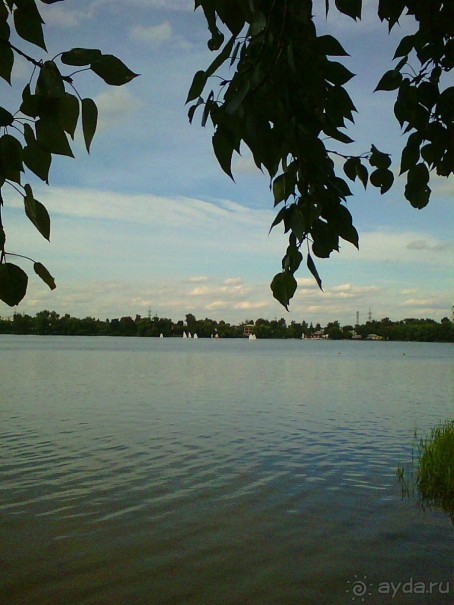 Белое озеро в поселке Косино МО