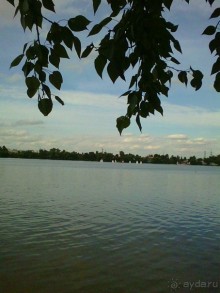 Белое озеро в поселке Косино МО