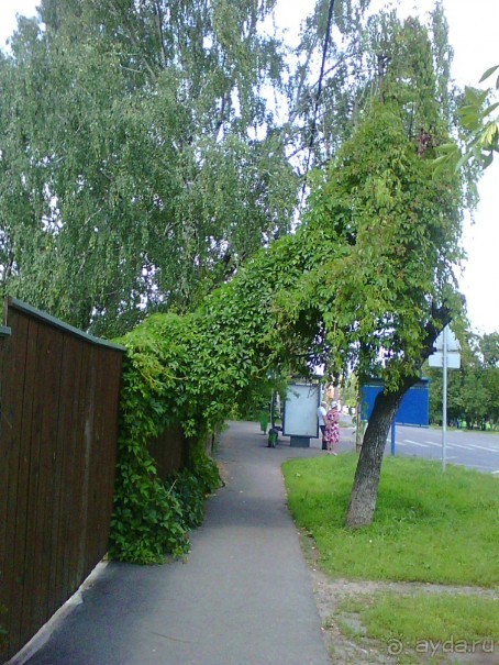 Белое озеро в поселке Косино МО