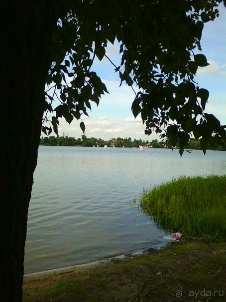 Белое озеро в поселке Косино МО