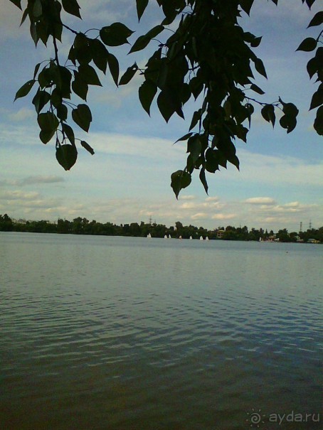 Белое озеро в поселке Косино МО