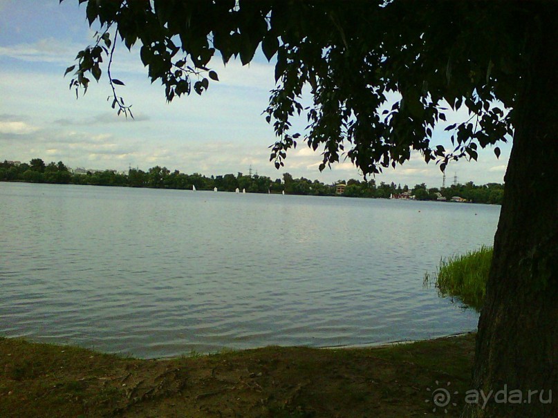 Белое озеро в поселке Косино МО