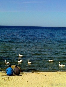 Музей не только балтской культуры