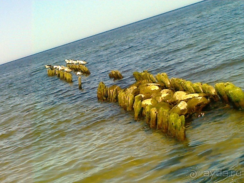 Музей не только балтской культуры