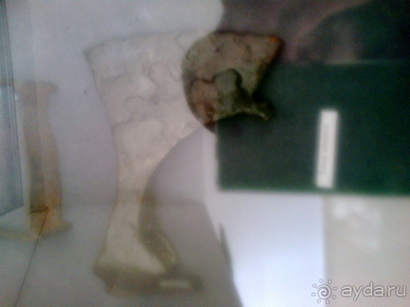 Музей не только балтской культуры