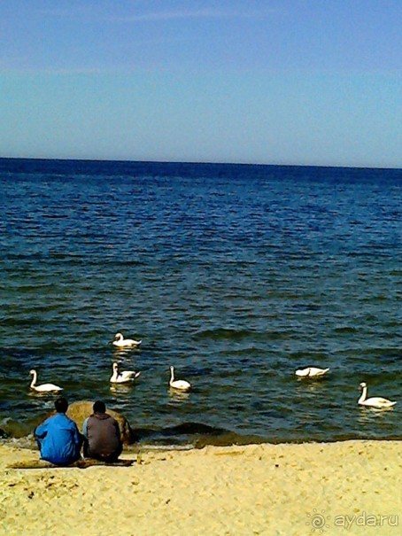 Музей не только балтской культуры