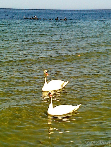 Музей не только балтской культуры