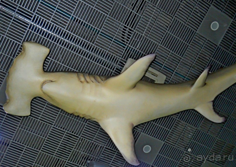 Классный, но дорогой!