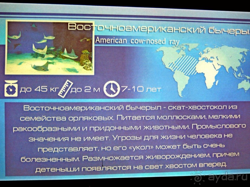 Классный, но дорогой!