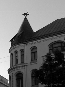 Кошкин дом, Бременские музыканты и др. приколы