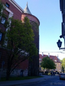 Кошкин дом, Бременские музыканты и др. приколы