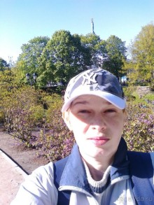 Кошкин дом, Бременские музыканты и др. приколы