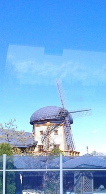 Кошкин дом, Бременские музыканты и др. приколы