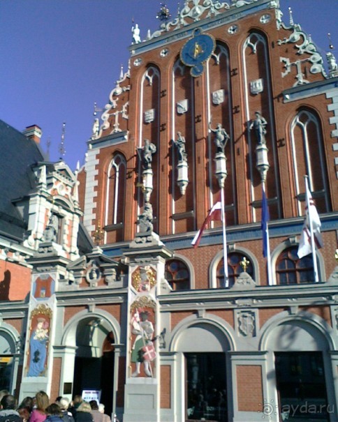 Кошкин дом, Бременские музыканты и др. приколы