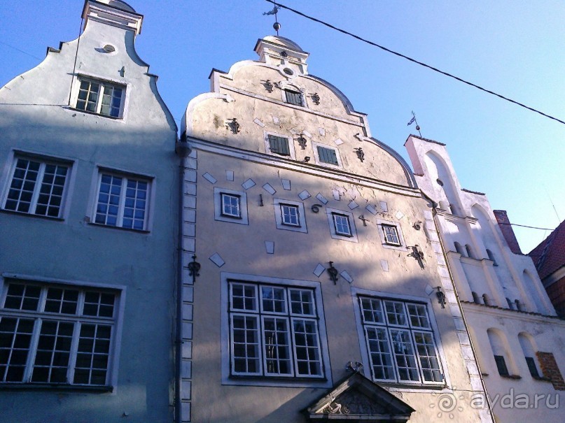 Кошкин дом, Бременские музыканты и др. приколы Кошкин дом, Бременские музыканты и др. приколы