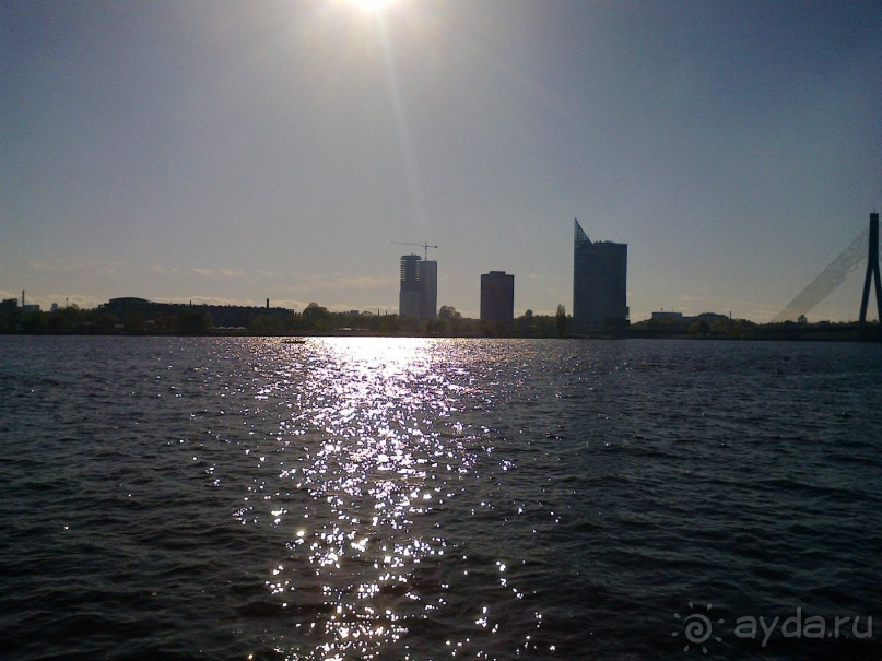 Кошкин дом, Бременские музыканты и др. приколы Кошкин дом, Бременские музыканты и др. приколы