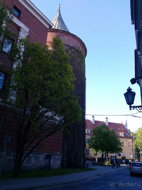 Кошкин дом, Бременские музыканты и др. приколы Кошкин дом, Бременские музыканты и др. приколы