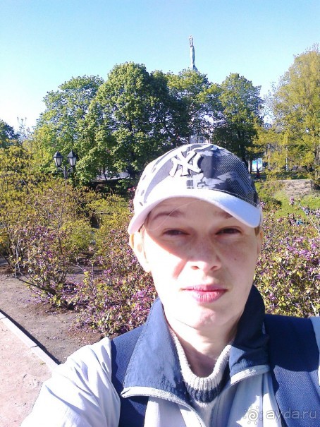 Кошкин дом, Бременские музыканты и др. приколы Кошкин дом, Бременские музыканты и др. приколы