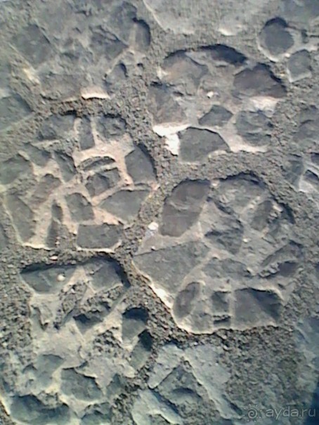 Столица Полесья