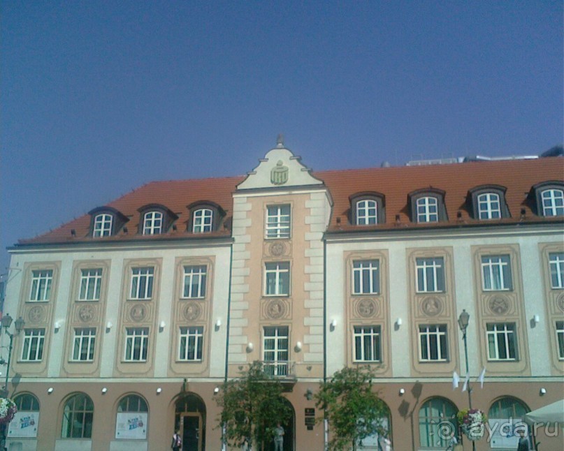 Прикольные кафе