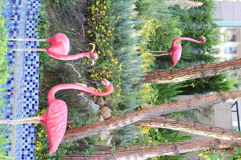 Отдых на 5 с минусом в сентябре 2019 