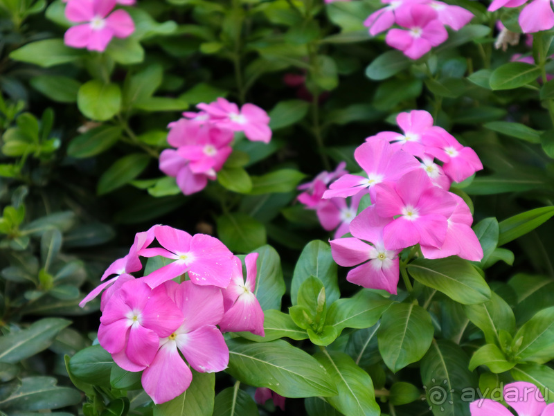 Отдых на 5 с минусом в сентябре 2019 