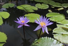 Место куда хочется вернуться