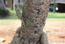 Место куда хочется вернуться