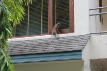 Место куда хочется вернуться