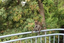 Место куда хочется вернуться