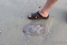 Место куда хочется вернуться