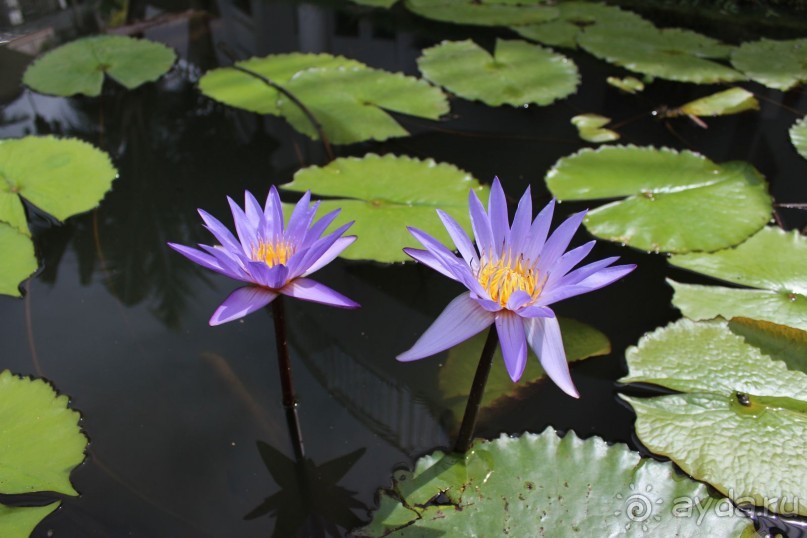 Место куда хочется вернуться