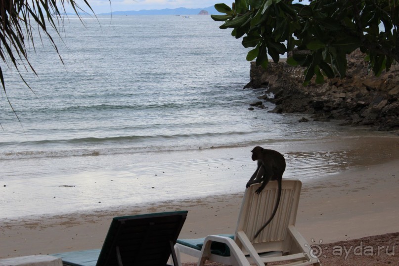 Место куда хочется вернуться