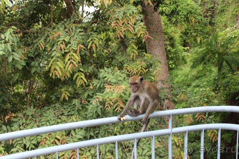 Место куда хочется вернуться