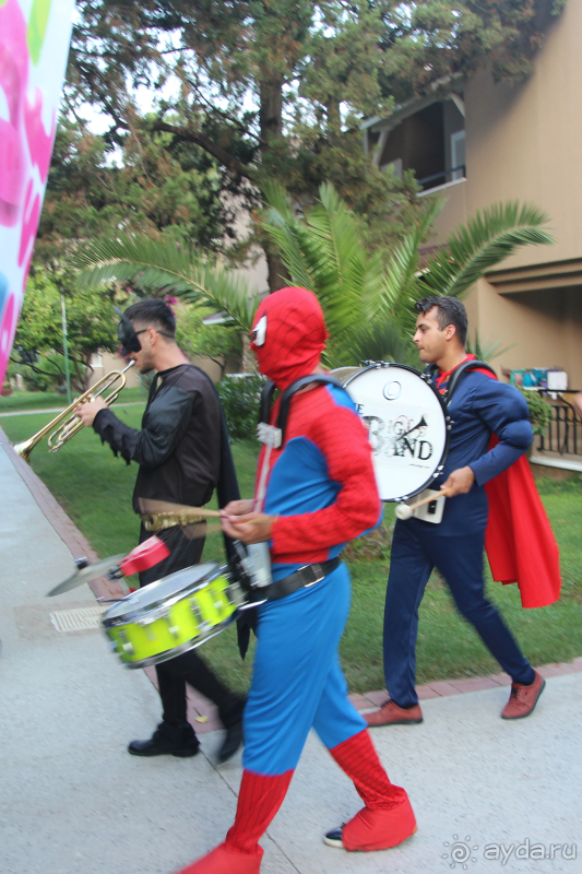 отель в пиратском стиле  Pirate`s Beach Club