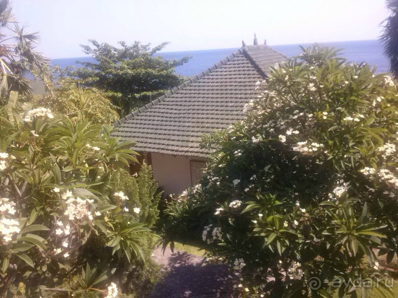 Очень приветливый, дружелюбный, европейский отель в Индонезии!