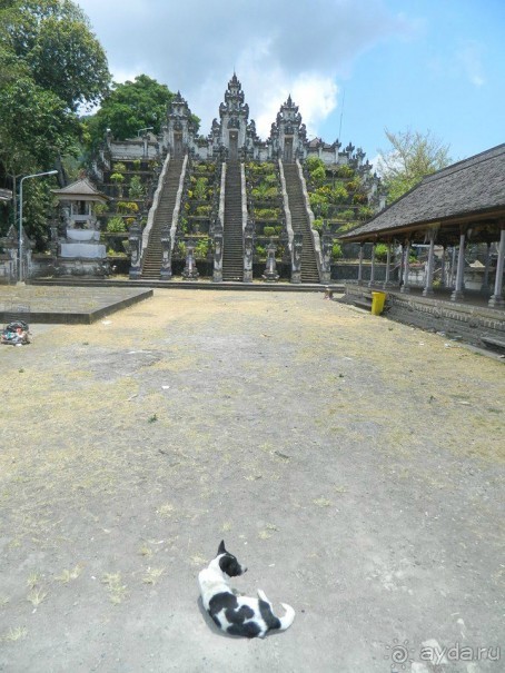 Очень приветливый, дружелюбный, европейский отель в Индонезии!