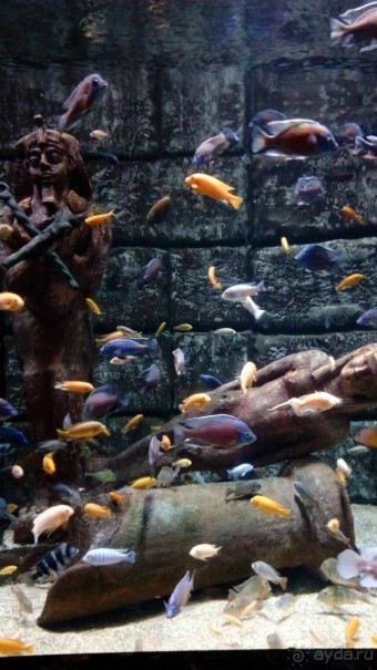 В Турции много интересного, что стоит посмотреть 