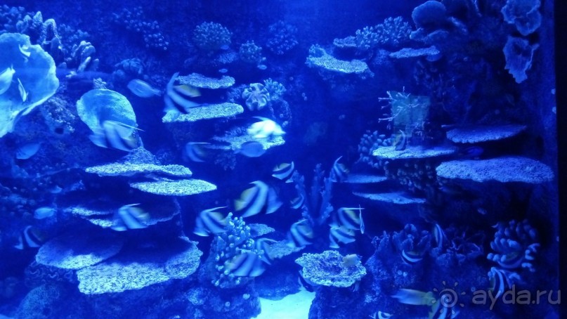 В Турции много интересного, что стоит посмотреть 