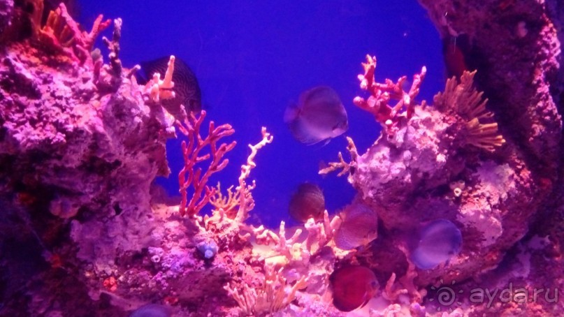 В Турции много интересного, что стоит посмотреть 