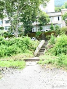 фото Бестужевский дворик