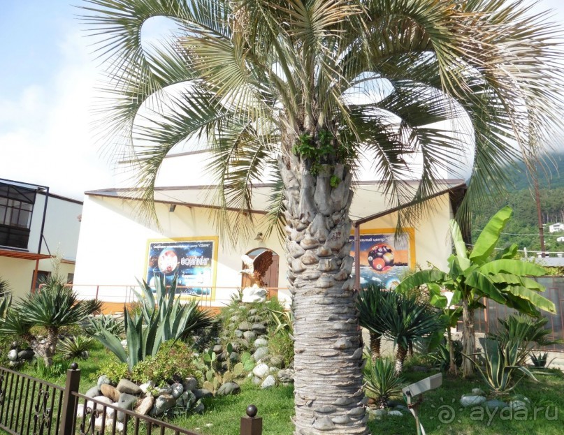 Отдых в отеле Бестужевский дворик