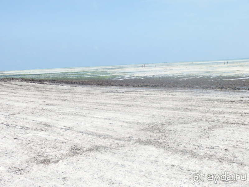 фото Asutay Hotel