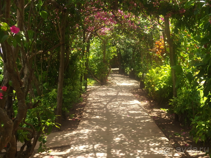 фото Asutay Hotel