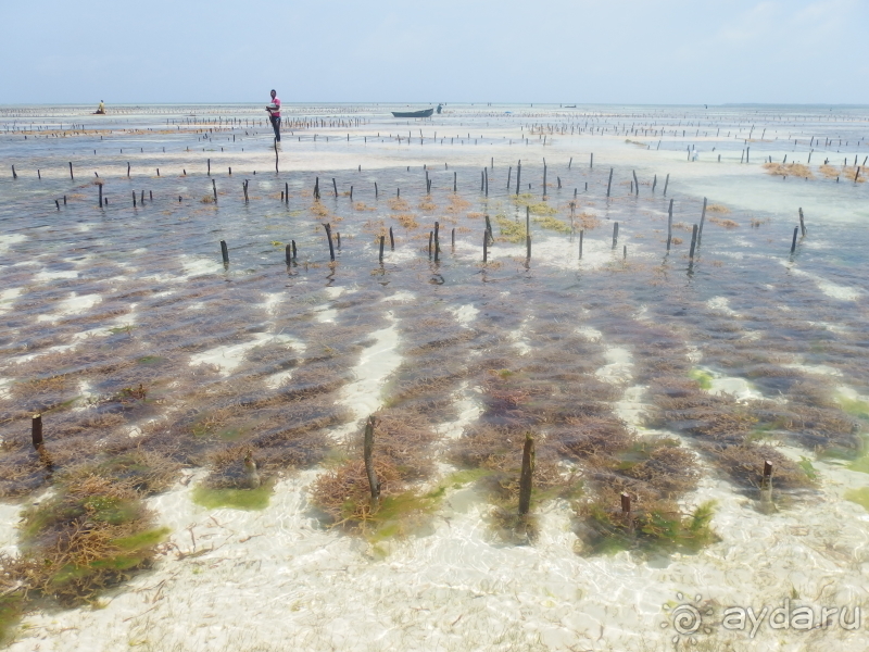 фото Asutay Hotel