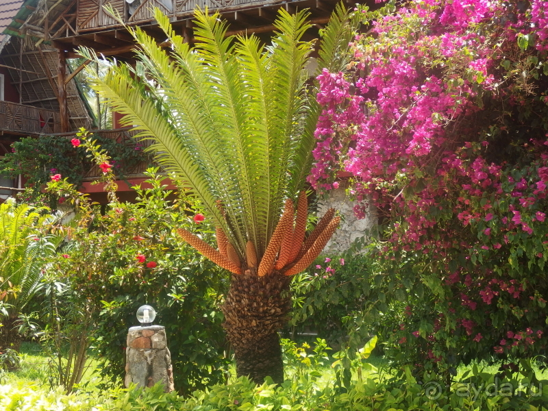 фото Asutay Hotel