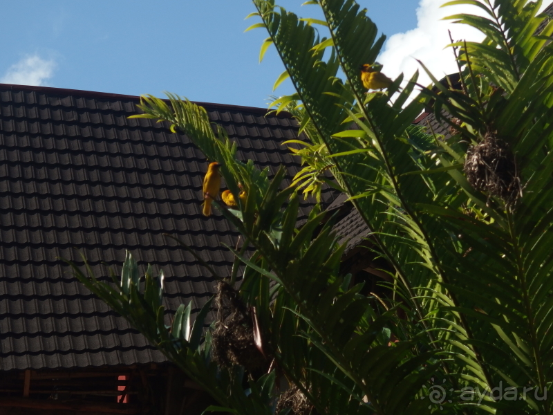 фото Asutay Hotel